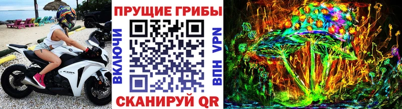 наркота  Сухиничи  shop клад  Псилоцибиновые грибы ЛСД 